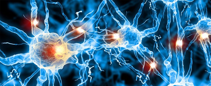 Neurons firing.
